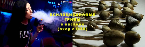 ПСИЛОЦИБИНОВЫЕ ГРИБЫ Богородицк